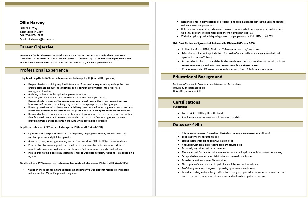 Iinformation Technology Resume Example For Beginner