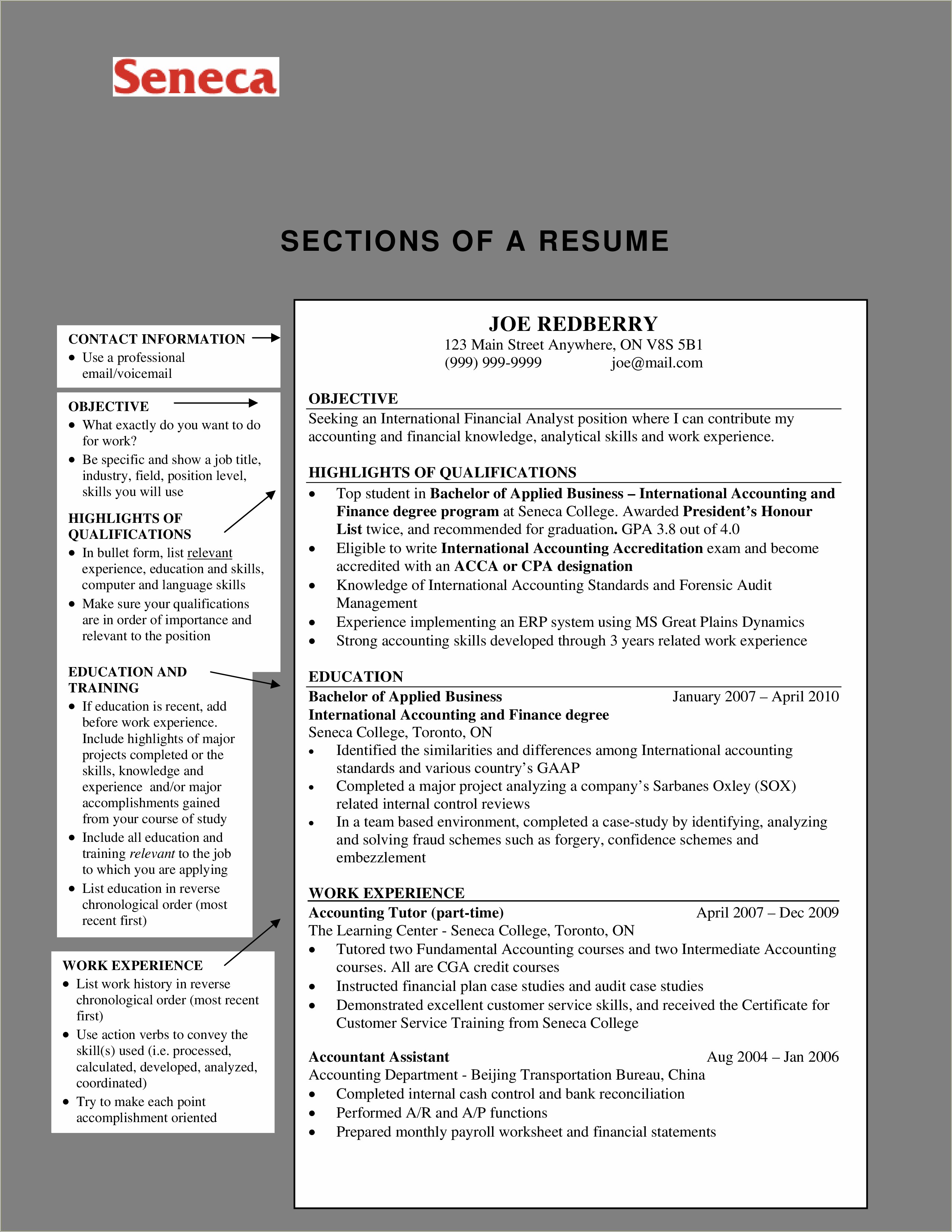 Important Computer And Skills On Accounting Resume