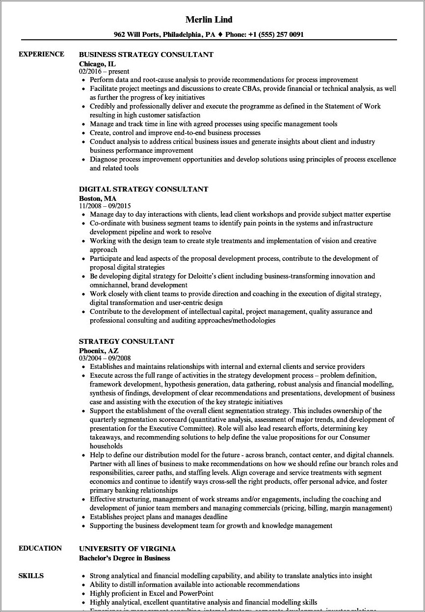 Independent Consultant Job Description For Resume