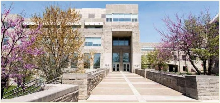 Indiana University Kelley School Of Business Resume Template
