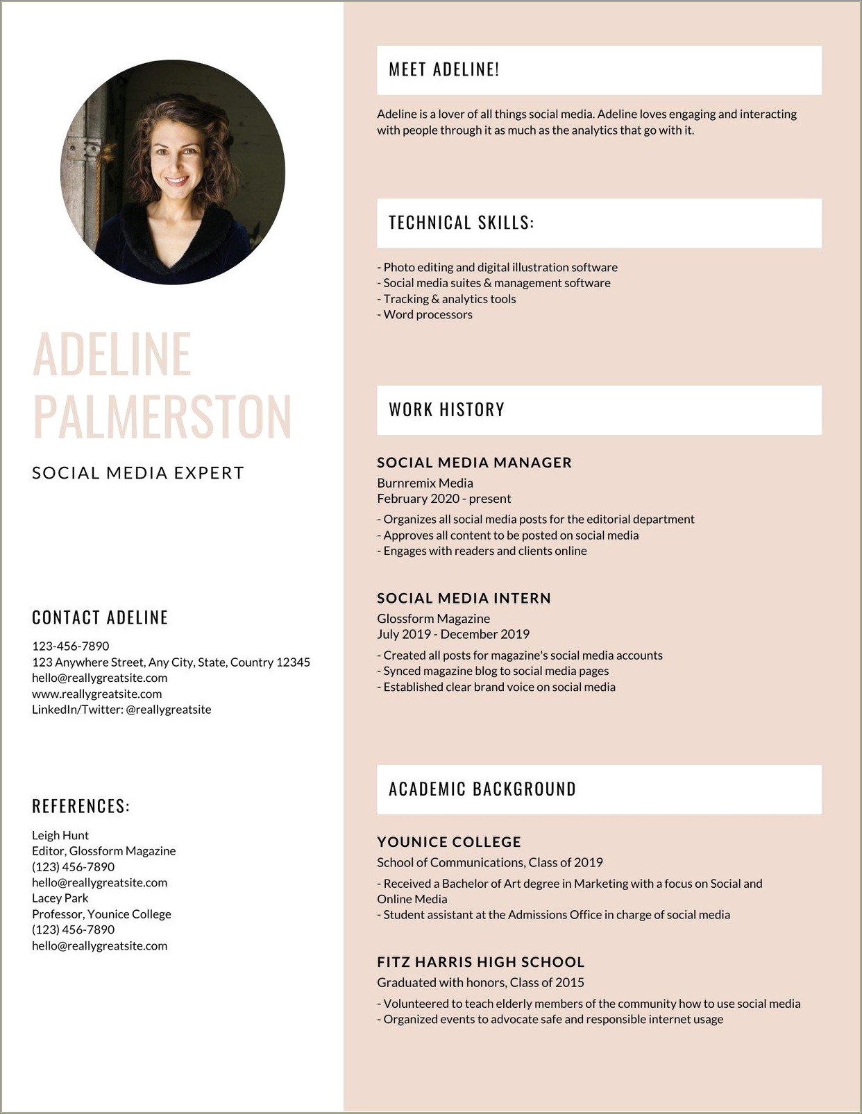 Infographic Resume Templates Free With References Section
