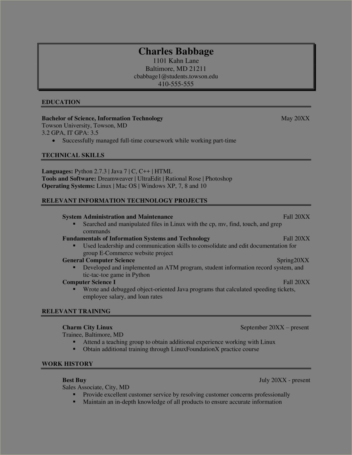 Information Technology Experience On A Resume