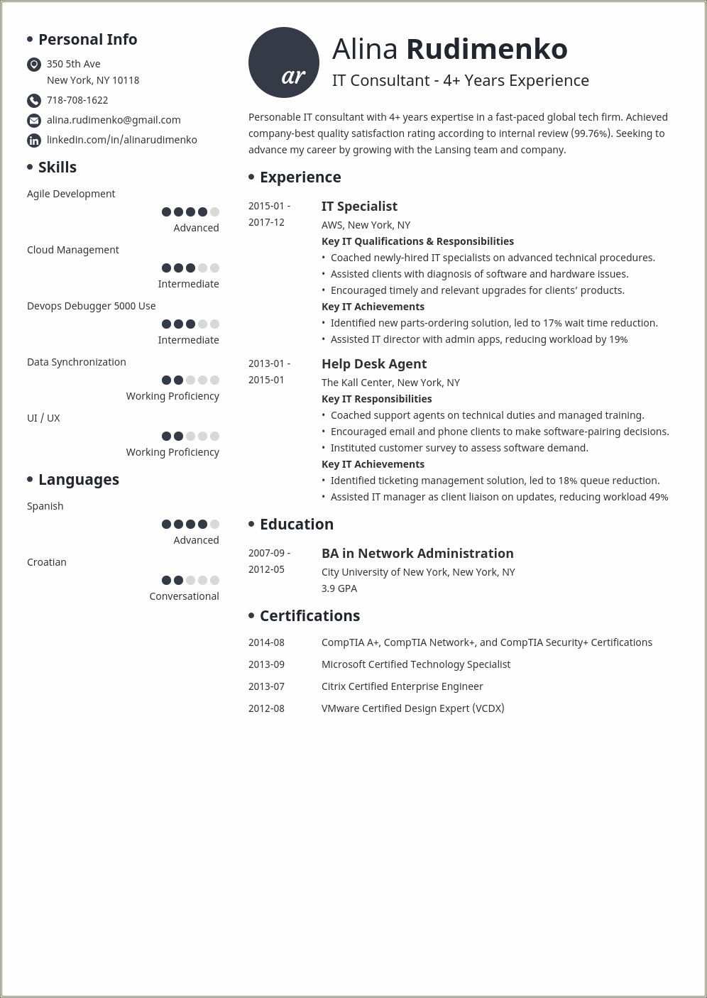 Information Technology Professional Summary Example For Resume