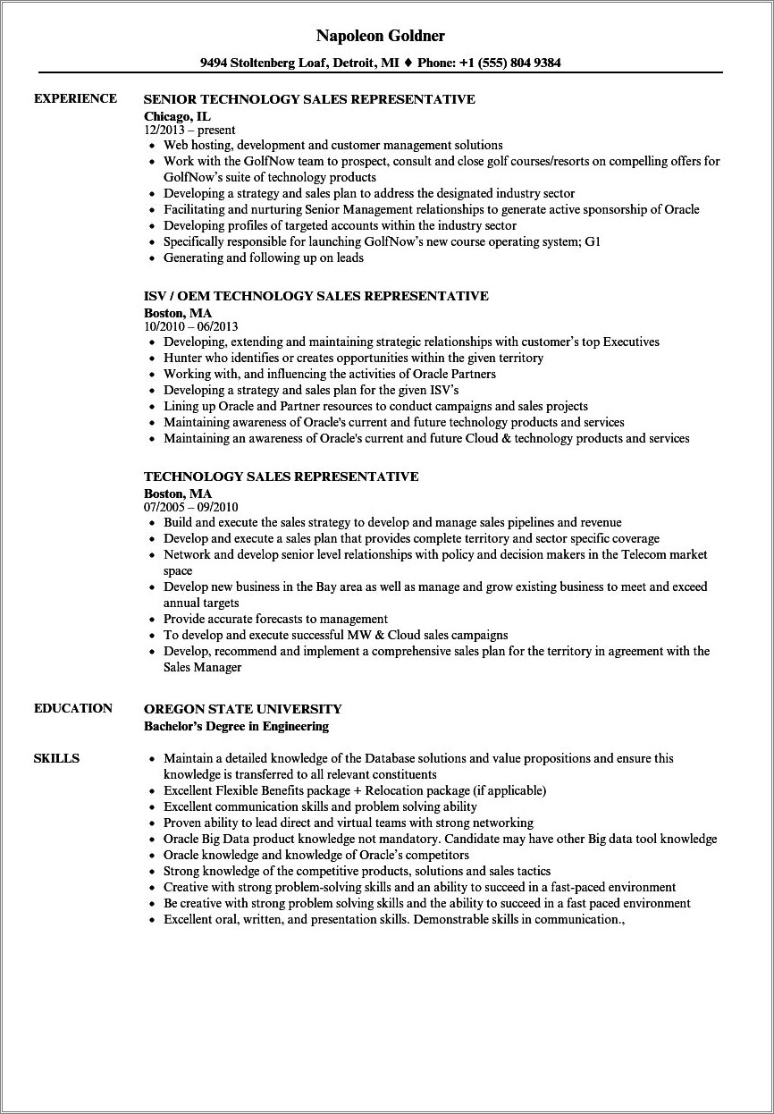 Information Technology Retail Sales Resume Examples