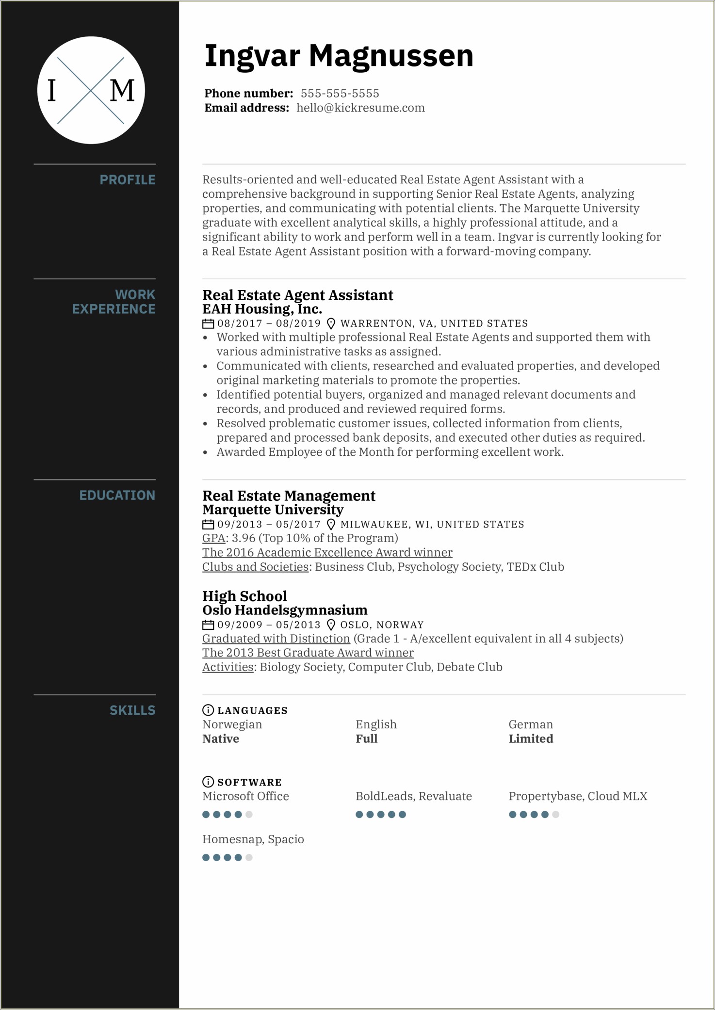 Ins Agent Agency Owner Resume Sample