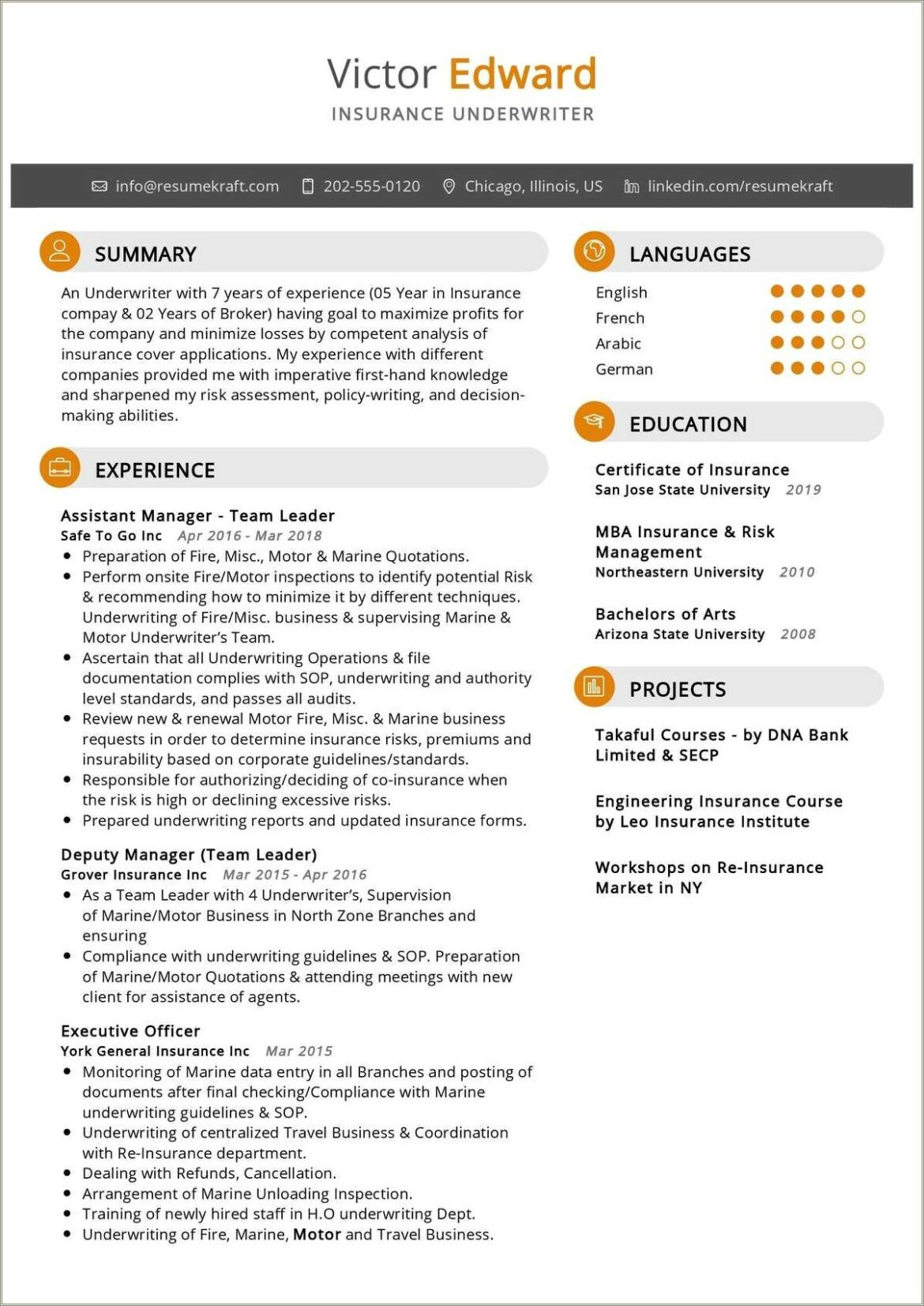 Insurace Account Analyst Summary Resume Sample