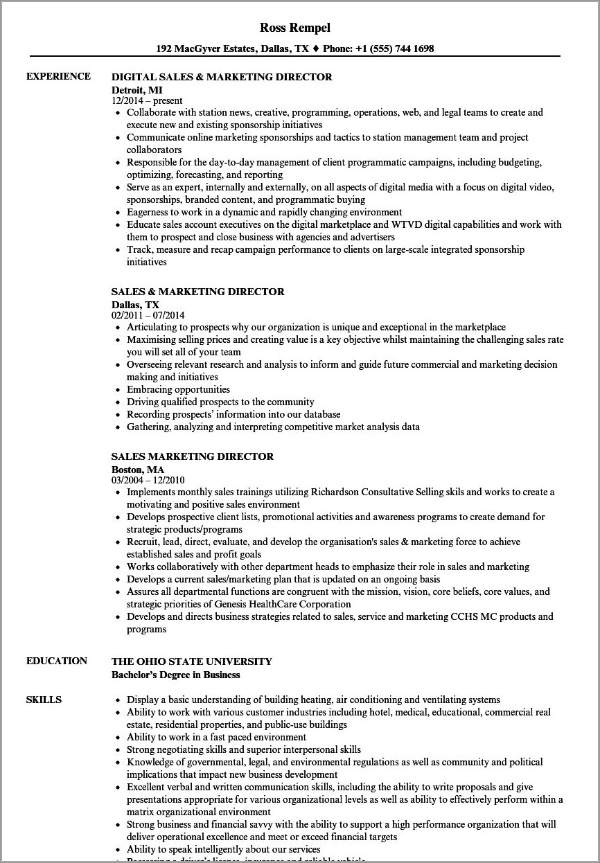 Internation Sales Director Objetive Resume Example