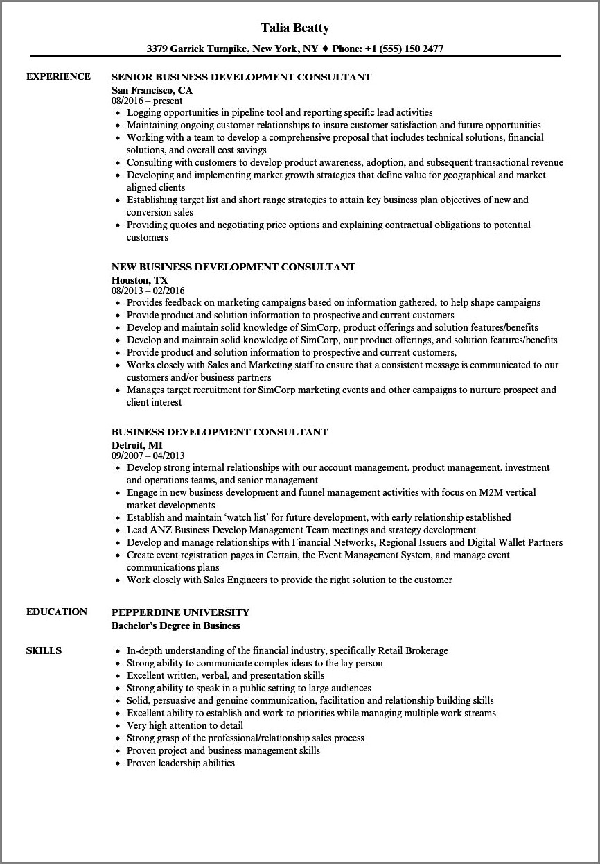 International Business And Investment Consultant Resume Samples