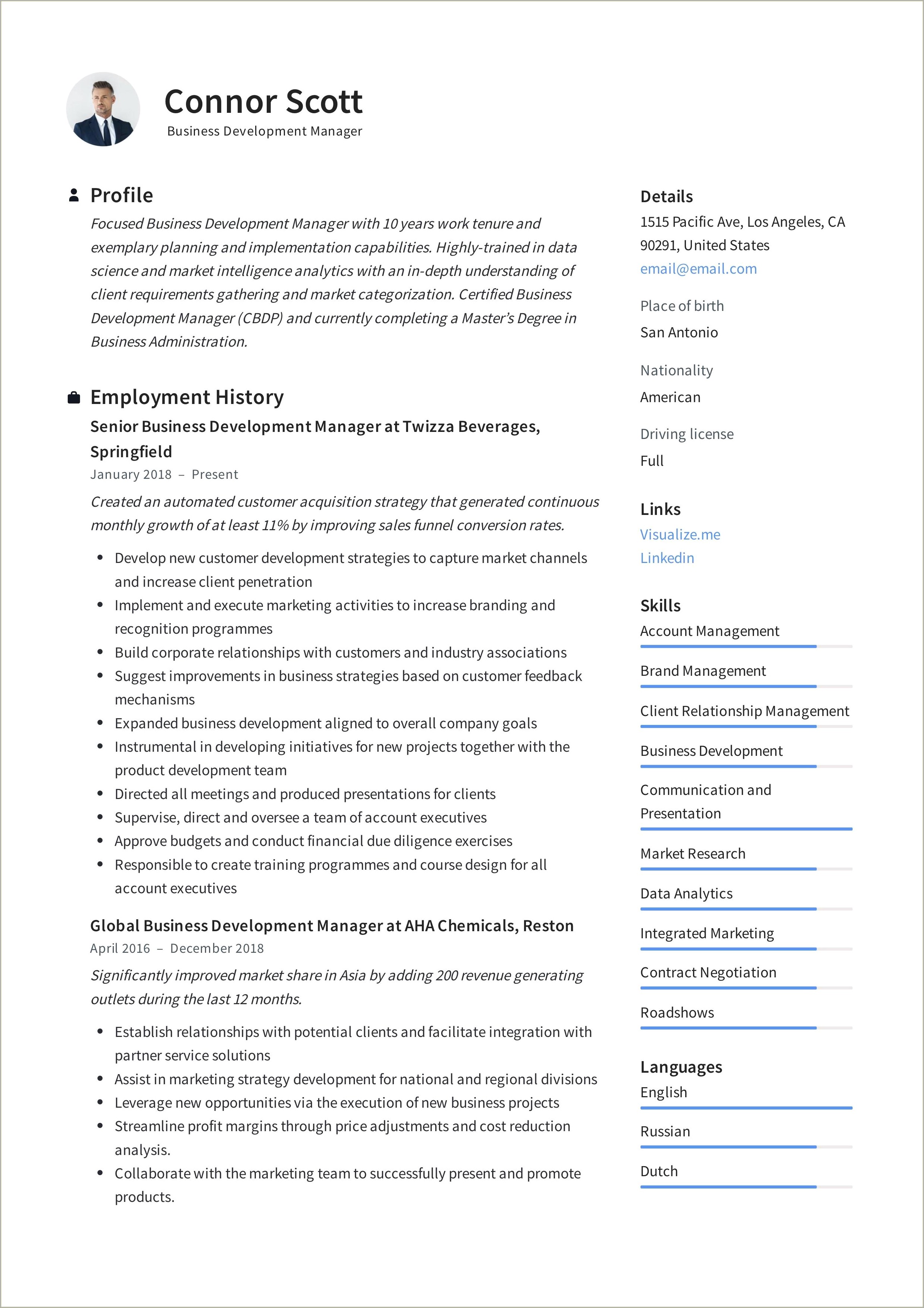 It Business Development Manager Resume Samples