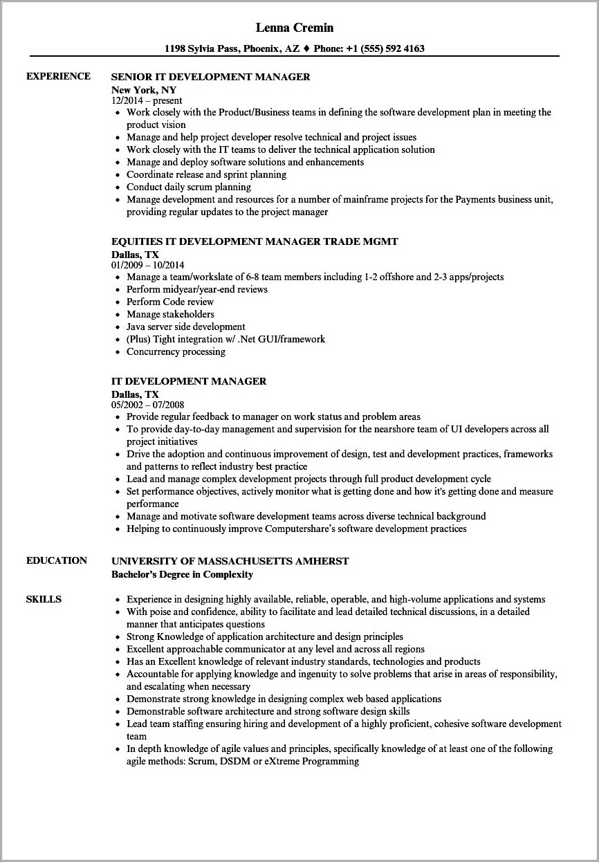 It Director Application Development Resume Examples