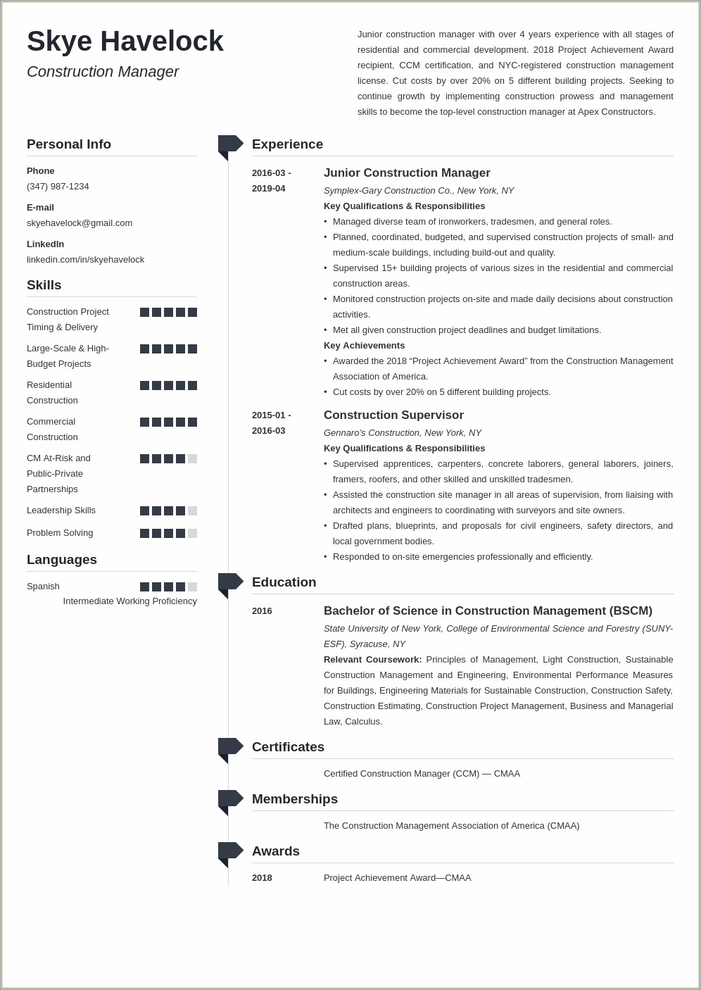 It Project Manager Resume Examples 2019
