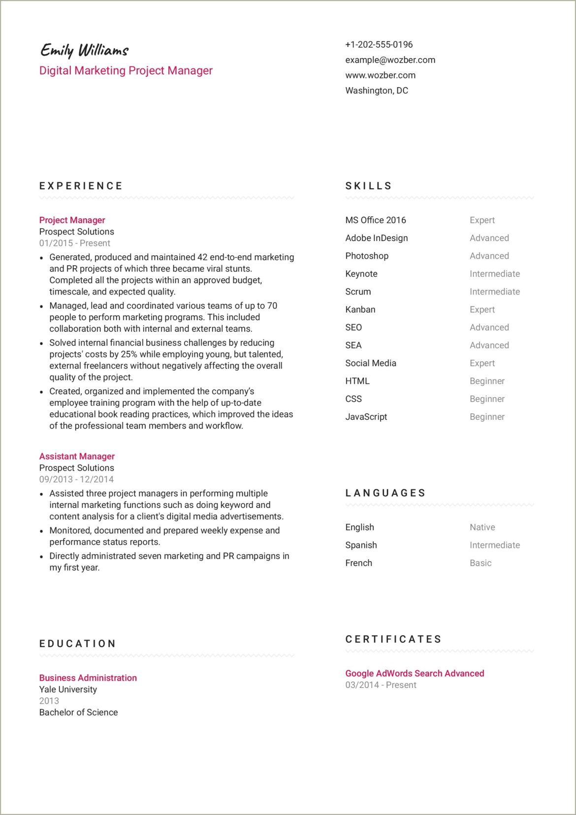 It Services Project Manager Resume Template Free