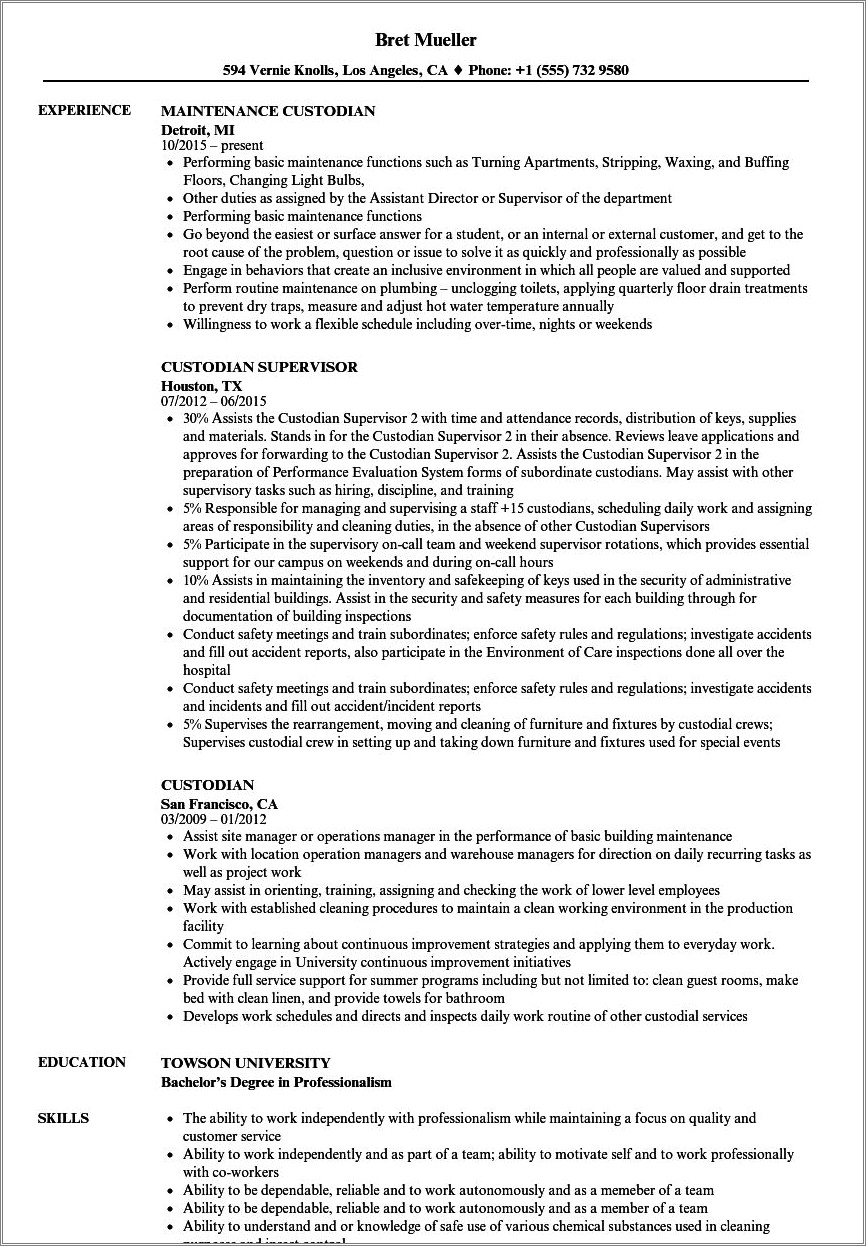 Janitor Summary For Resume With No Experience