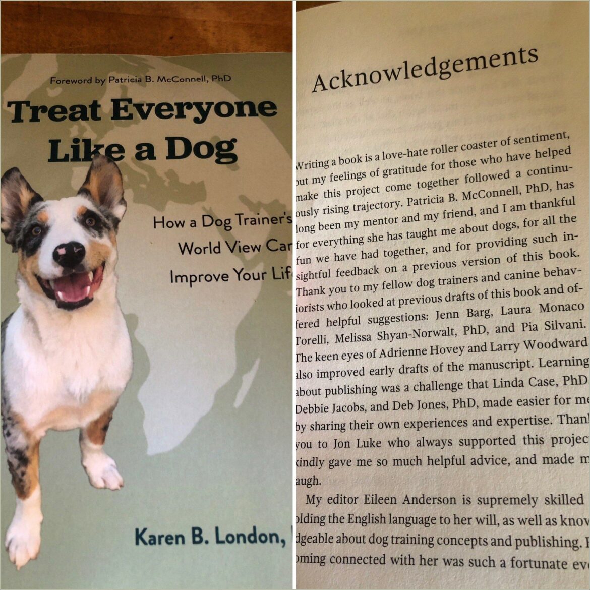 Karen Pryor Academy Dog Trainer Resume Sample