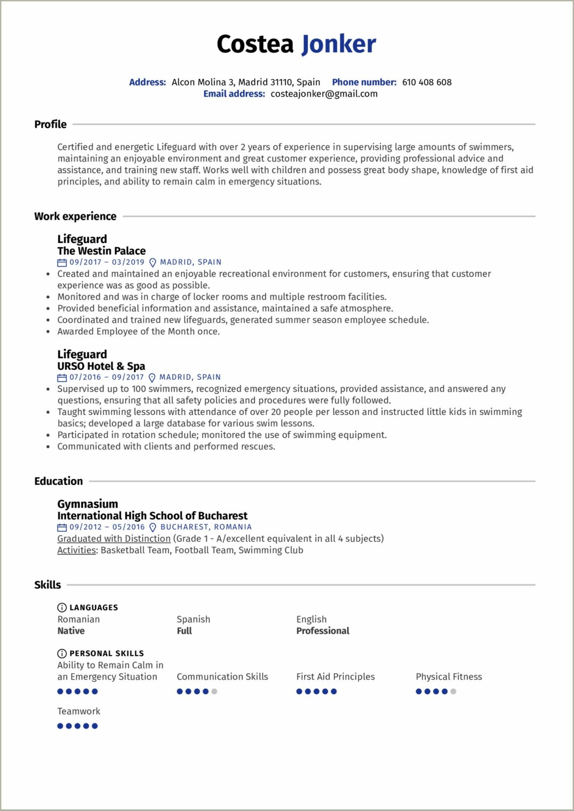 Knowledge Skills And Abilities Resume Template