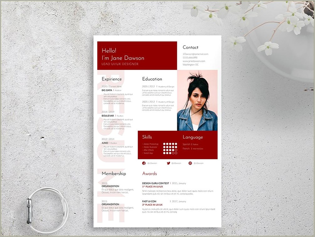 Latest Resume Format 2019 Free Download