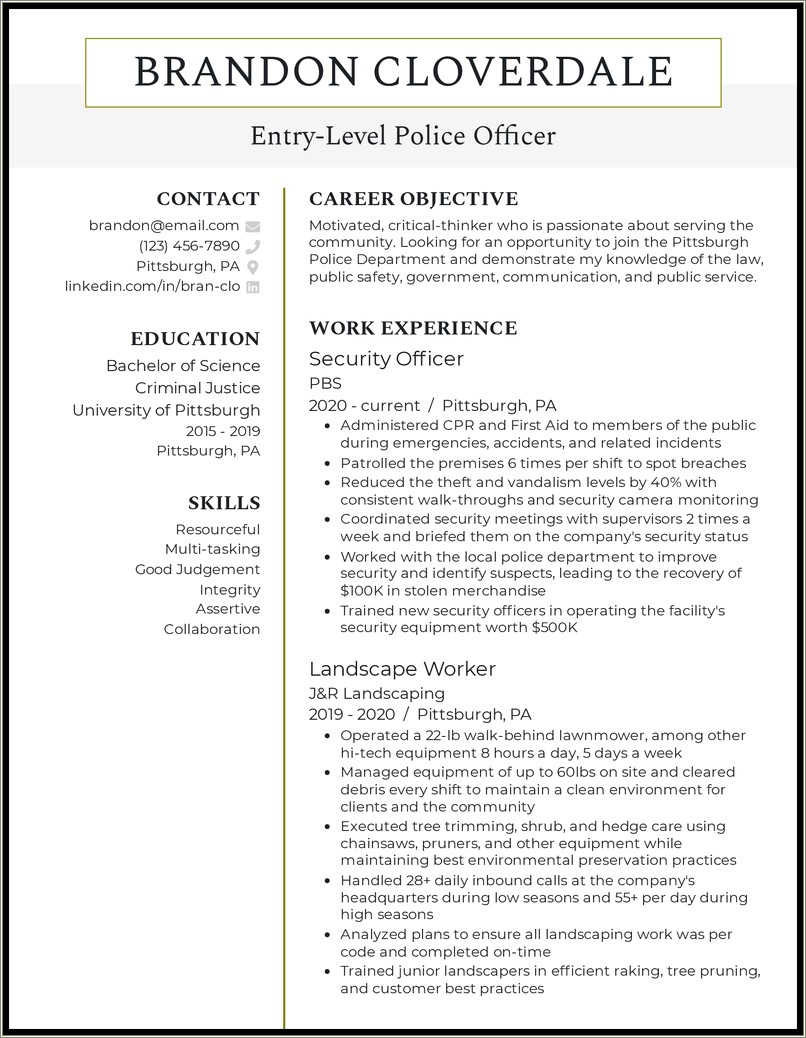 Law Enforcement Resume Objective Statement Examples