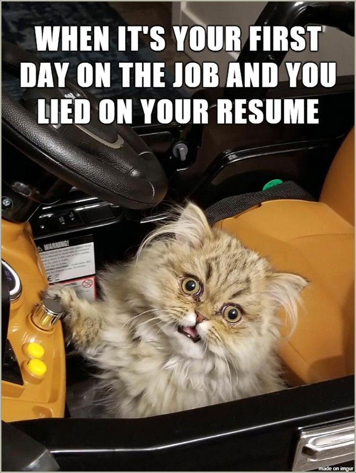 Lied On Resume Got The Job