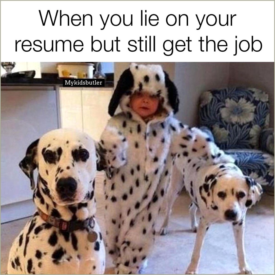 Lied On Your Resume And Get A Job