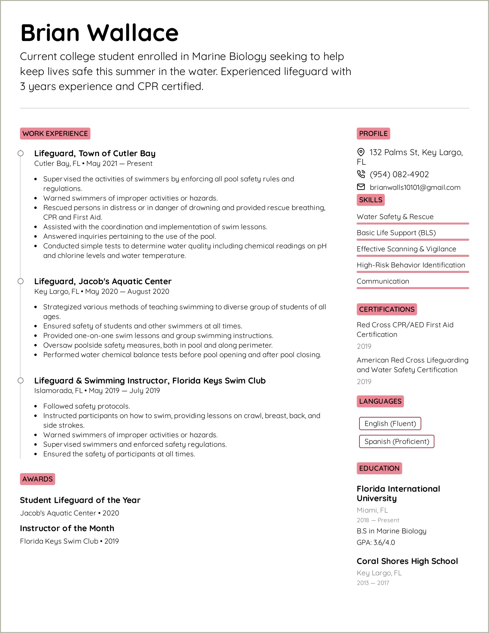 Life Guard Work Expeirence For Resume