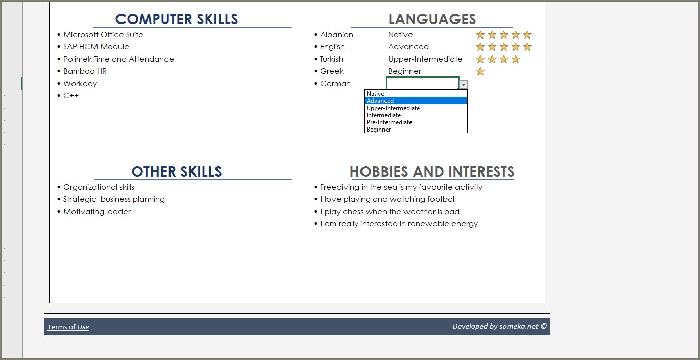 List Of Excel Skills For Resume