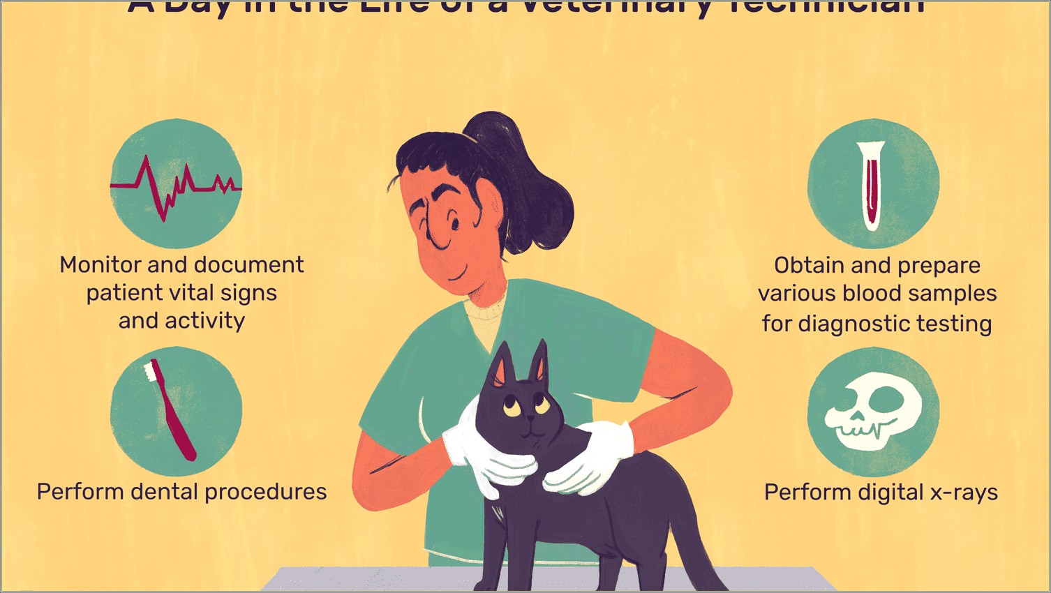 List Of Veterinary Technician Skills On A Resume