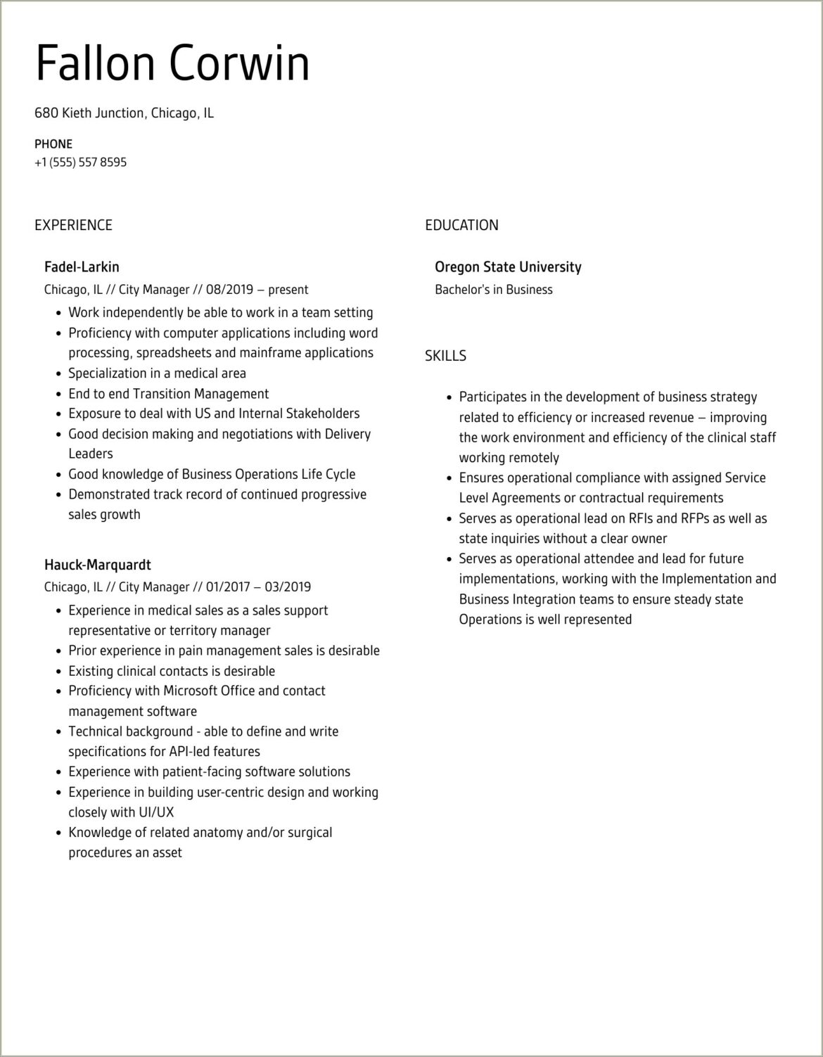 Local Government City Manager Sample Resume