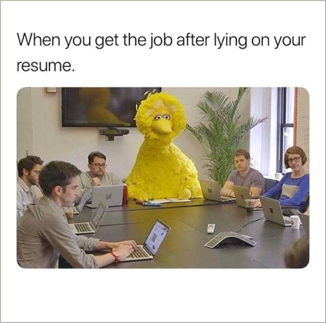Lying On Resume Got Me A Job