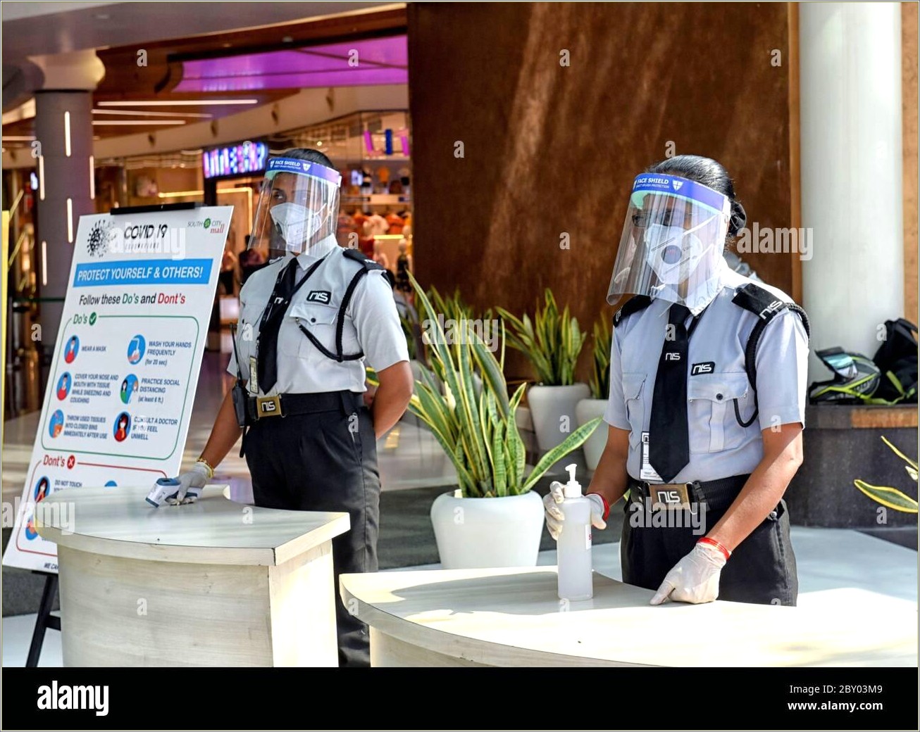 Mall Security Guard Job Description For Resume