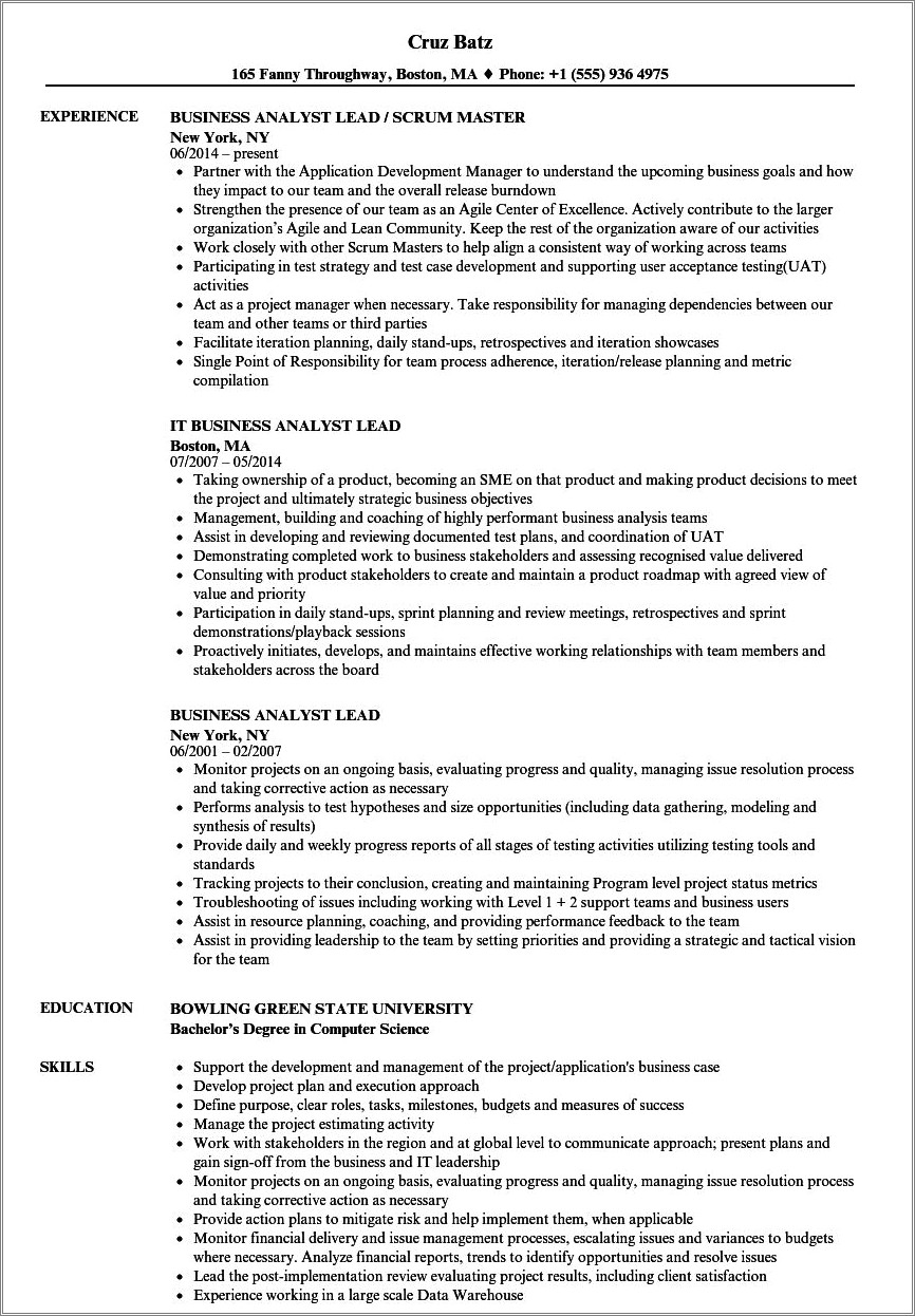Manage A Team Of 3 Business Analysts Resume