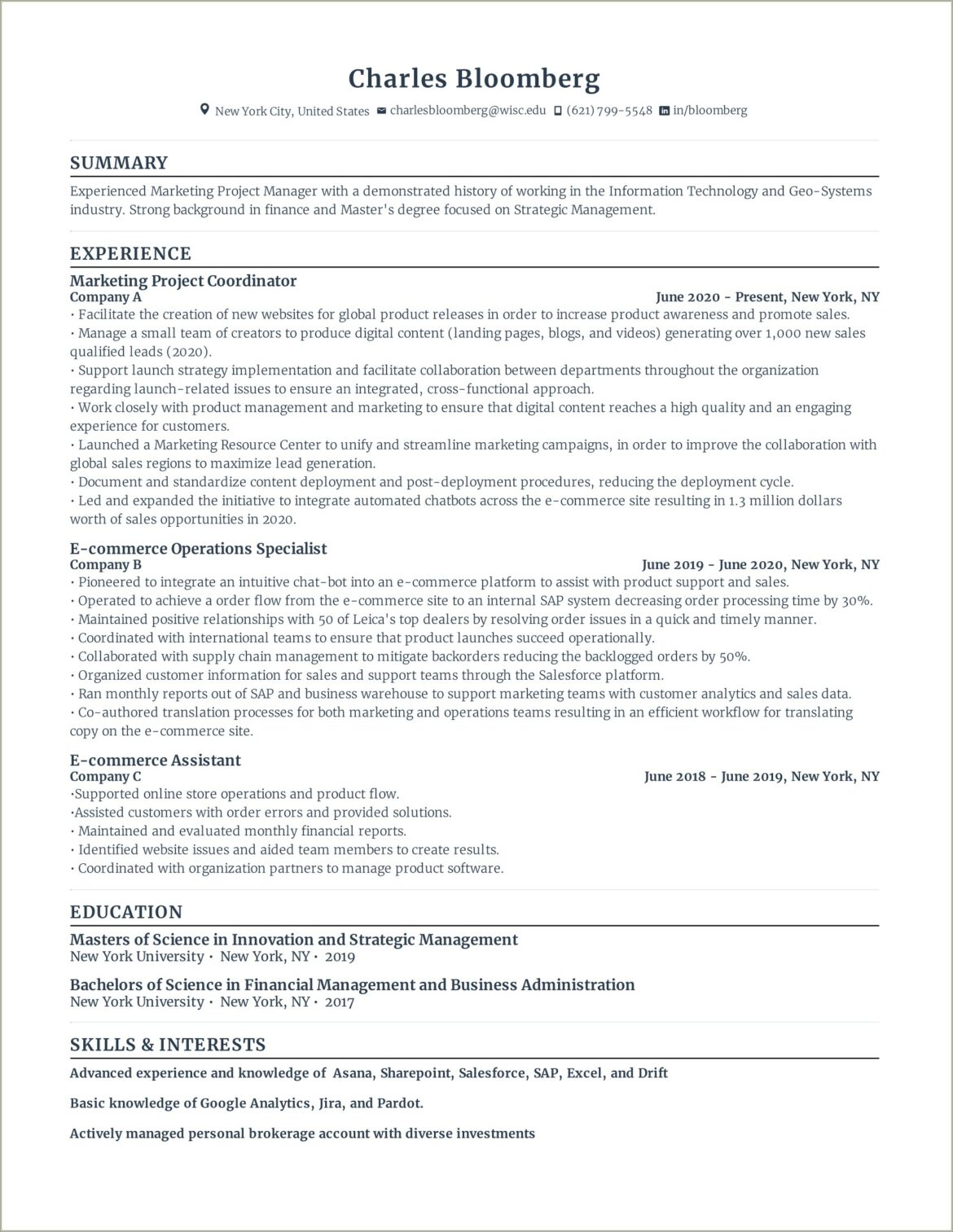 Marketing Project Manager Resume Summary Example