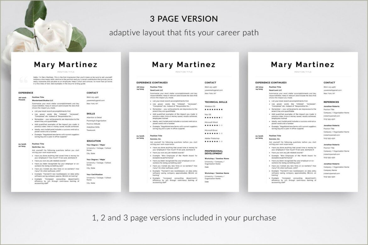 Microsoft Word 2008 For Mac Resume Templates