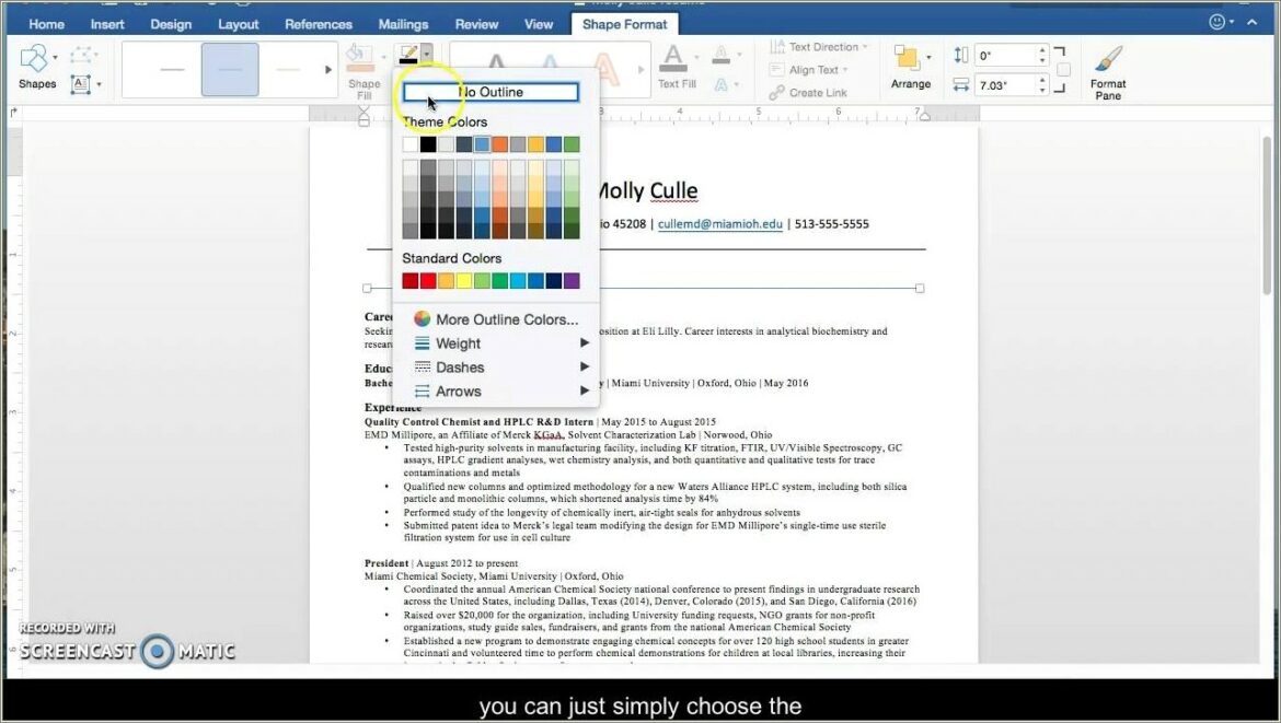 Microsoft Word Resume Add A Line