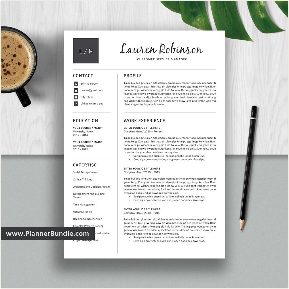 Micrsoft Word 2 Page Resume Templates