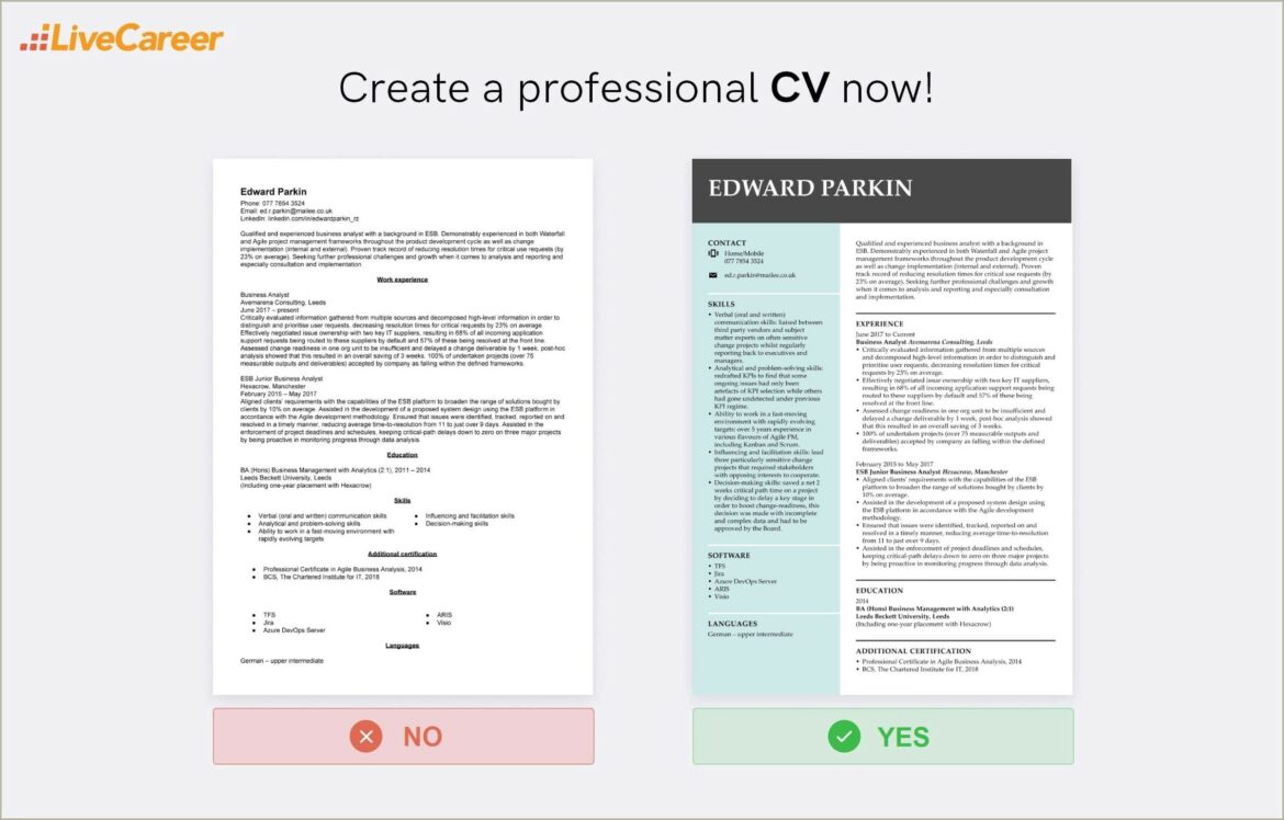 Mobile Application Business Analyst Resume Sample