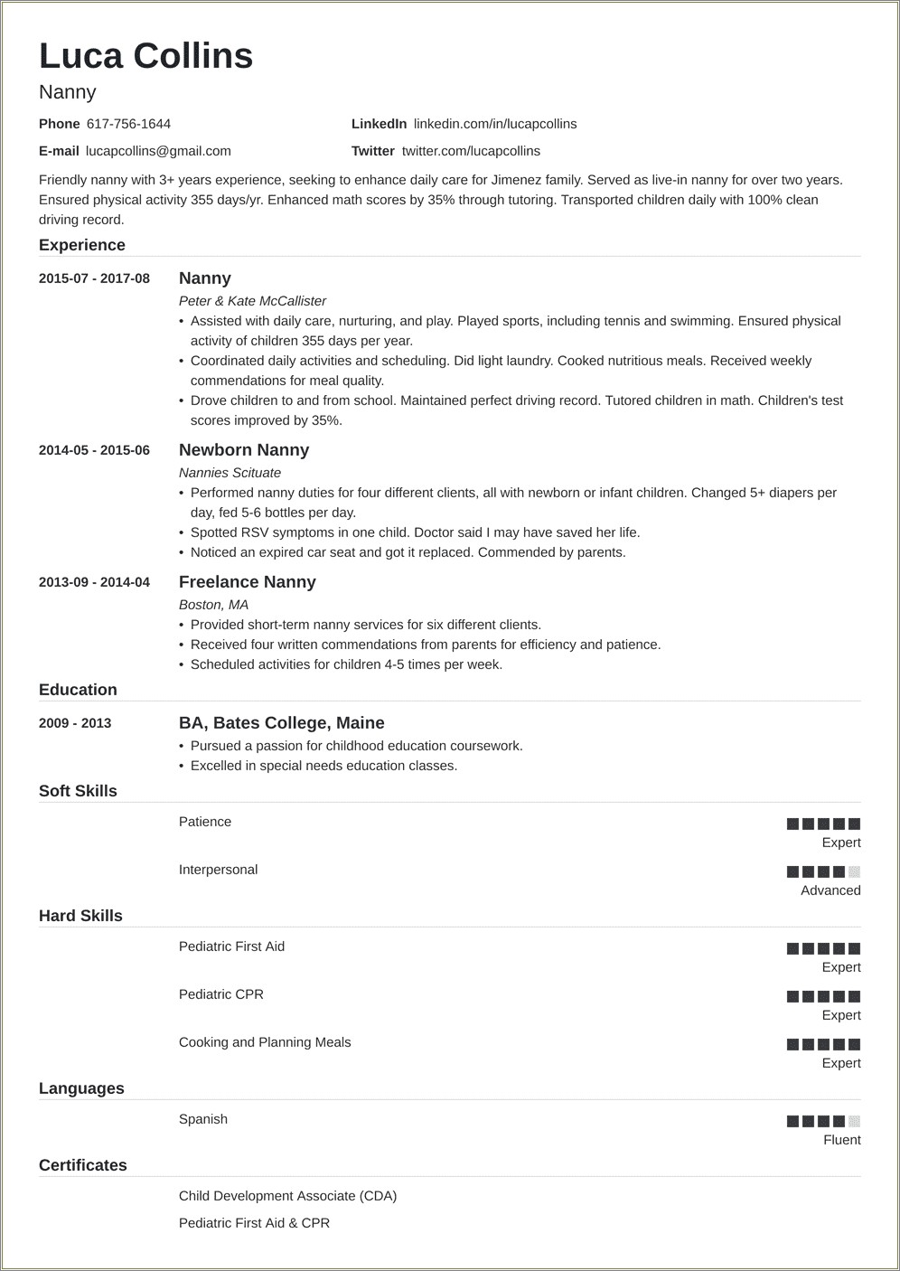 Nanny For An Agency Description On Resume