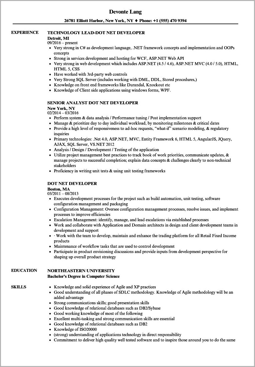 Net Developer Sample Resume With Financial Company Experience