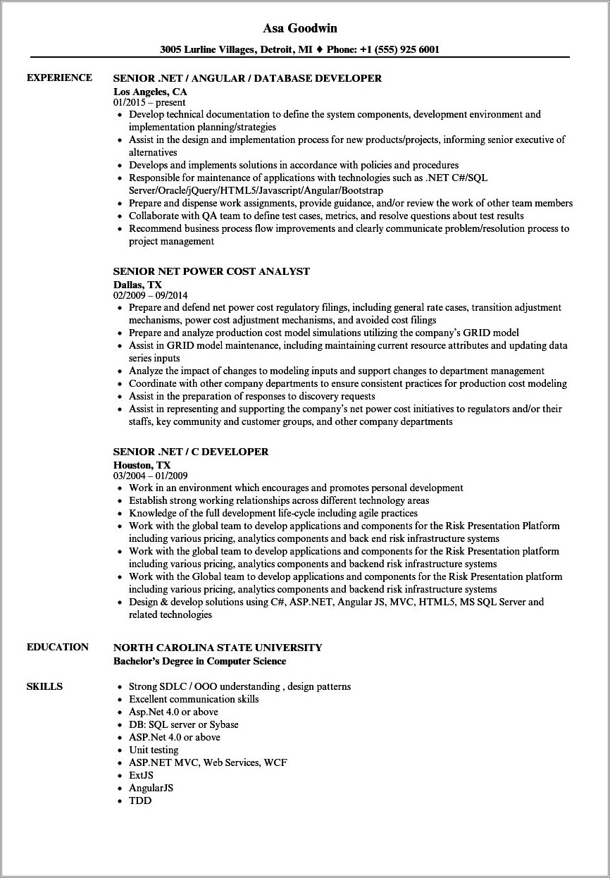 Net Experience Resume With Risk Management