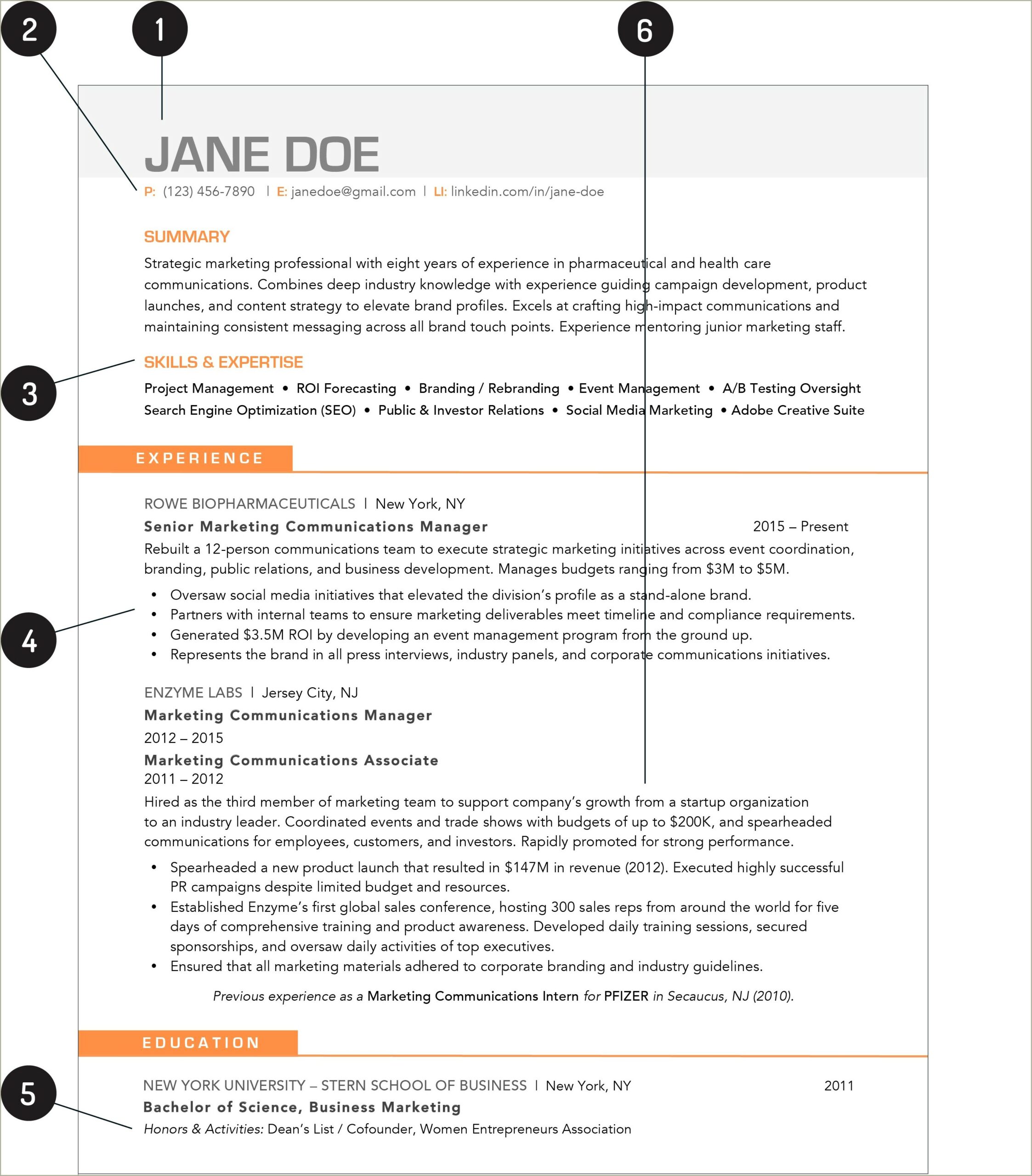 New Professional Job Search Resume Template 2018