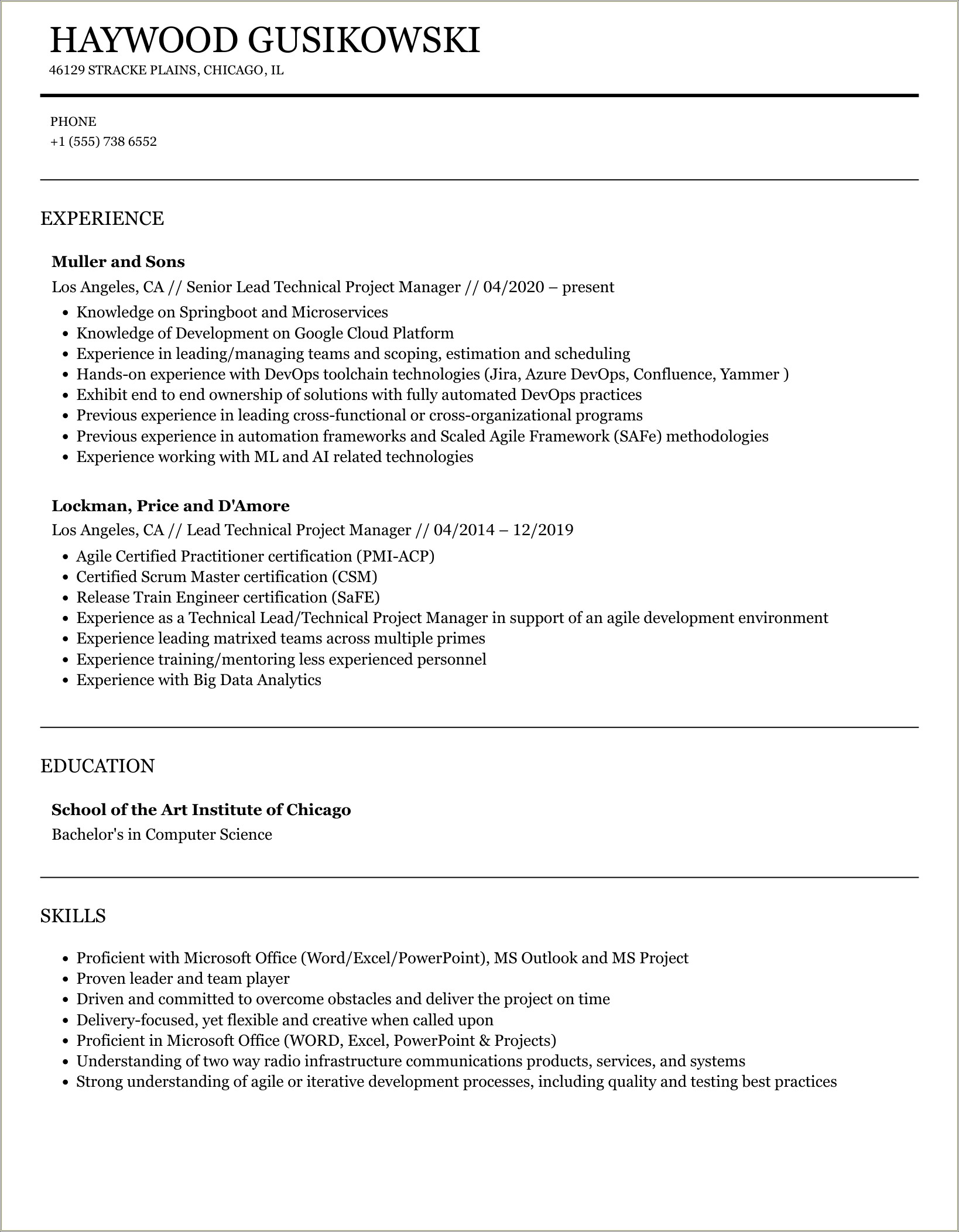 Non Technical Project Manager Resume Sample