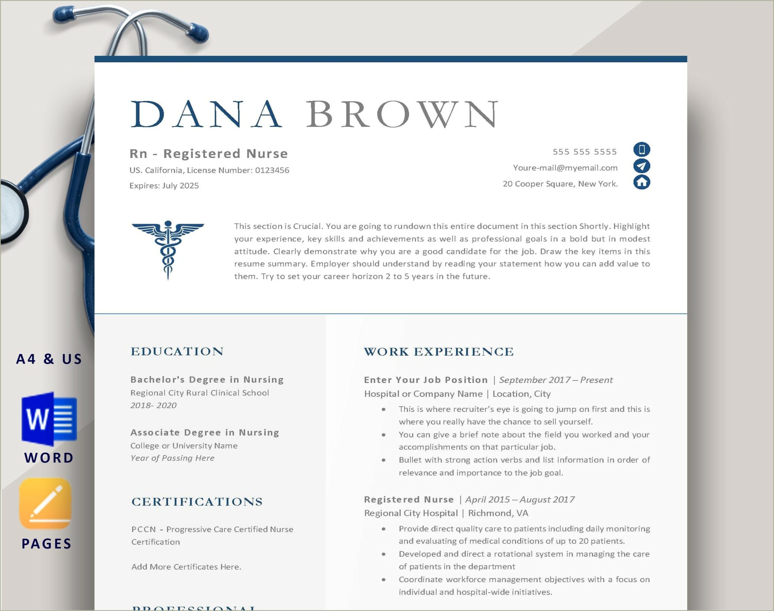 Nurse Practitioner Resume Example With Summary