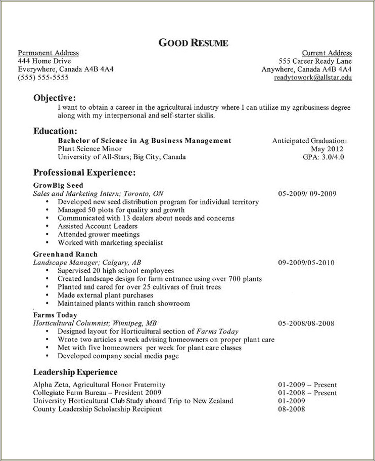 Objective On Resume Example For It