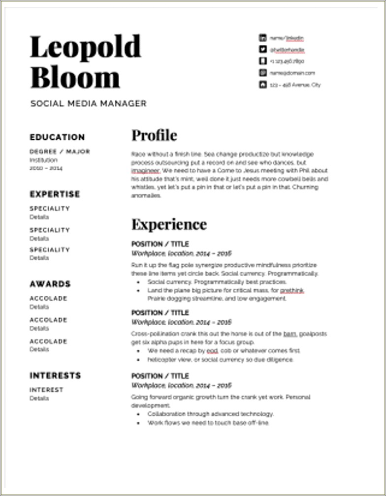 Objective On Resume Examples Social Media