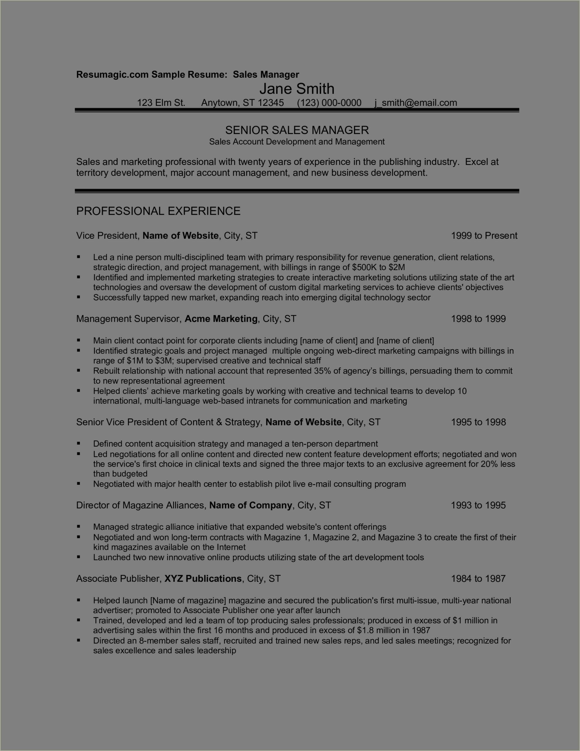 Objective On Sales Manager Resume Example
