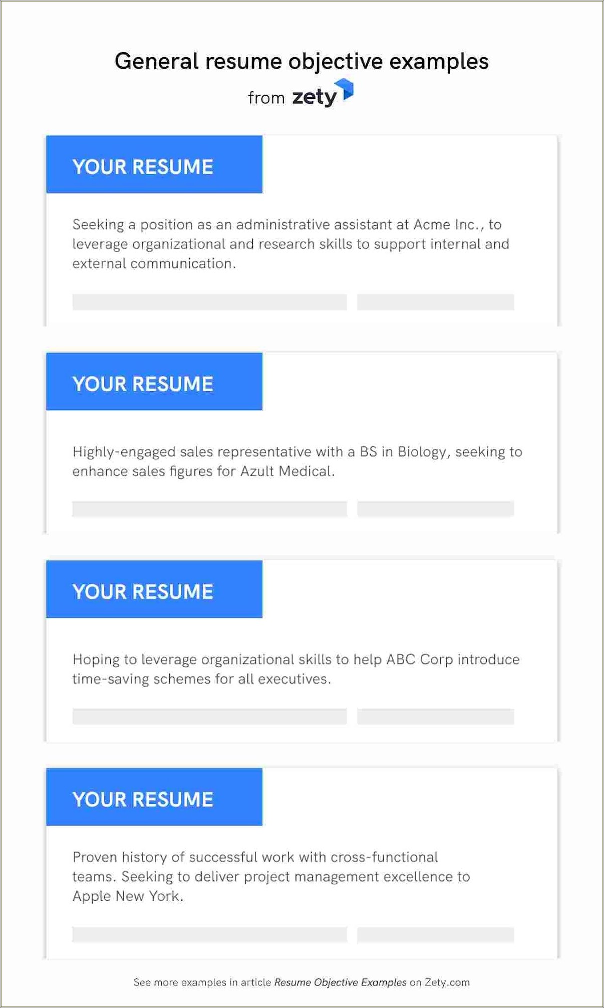 Objective Resume Examples For A New Job
