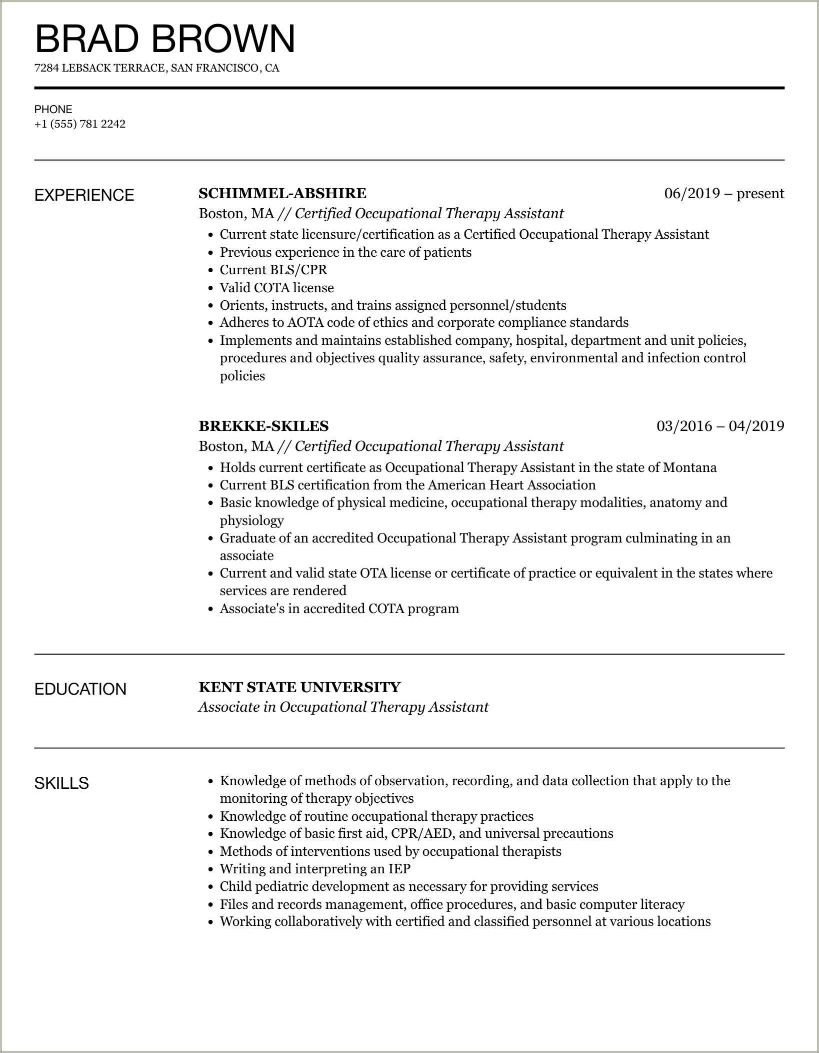 Occupational Therapy Assistant Student Resume Example