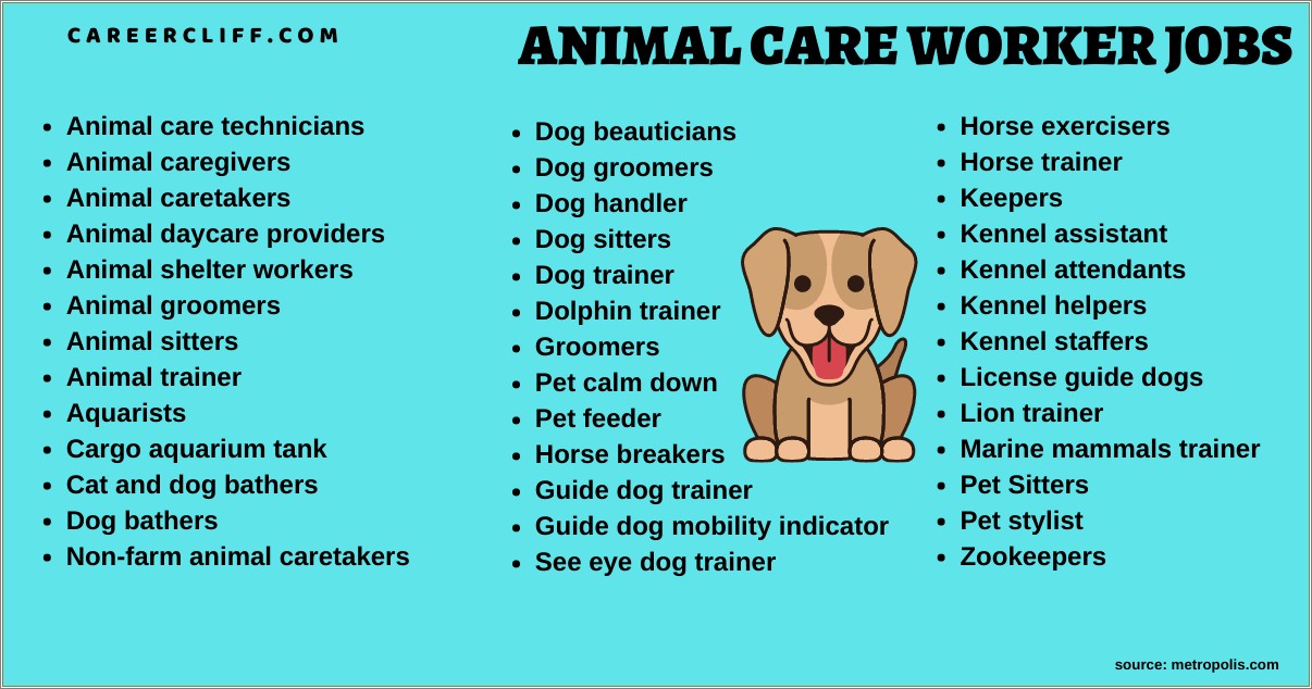 Pet Sitter Dog Walker Job Description Resume