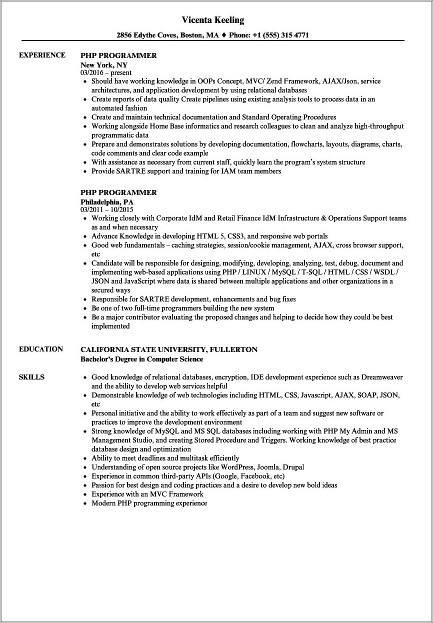 Php Developer Resume For 3 Year Experience Download