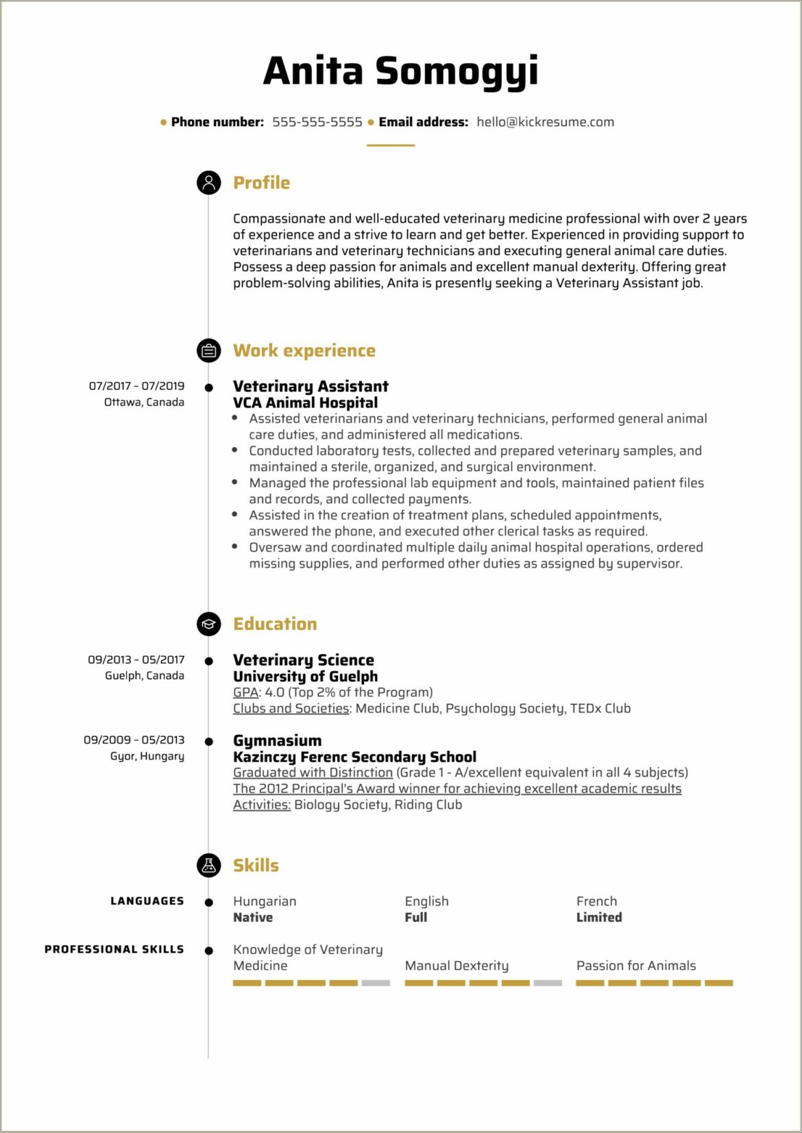 Physician Assistant Resume Examples With Voluteer Experience