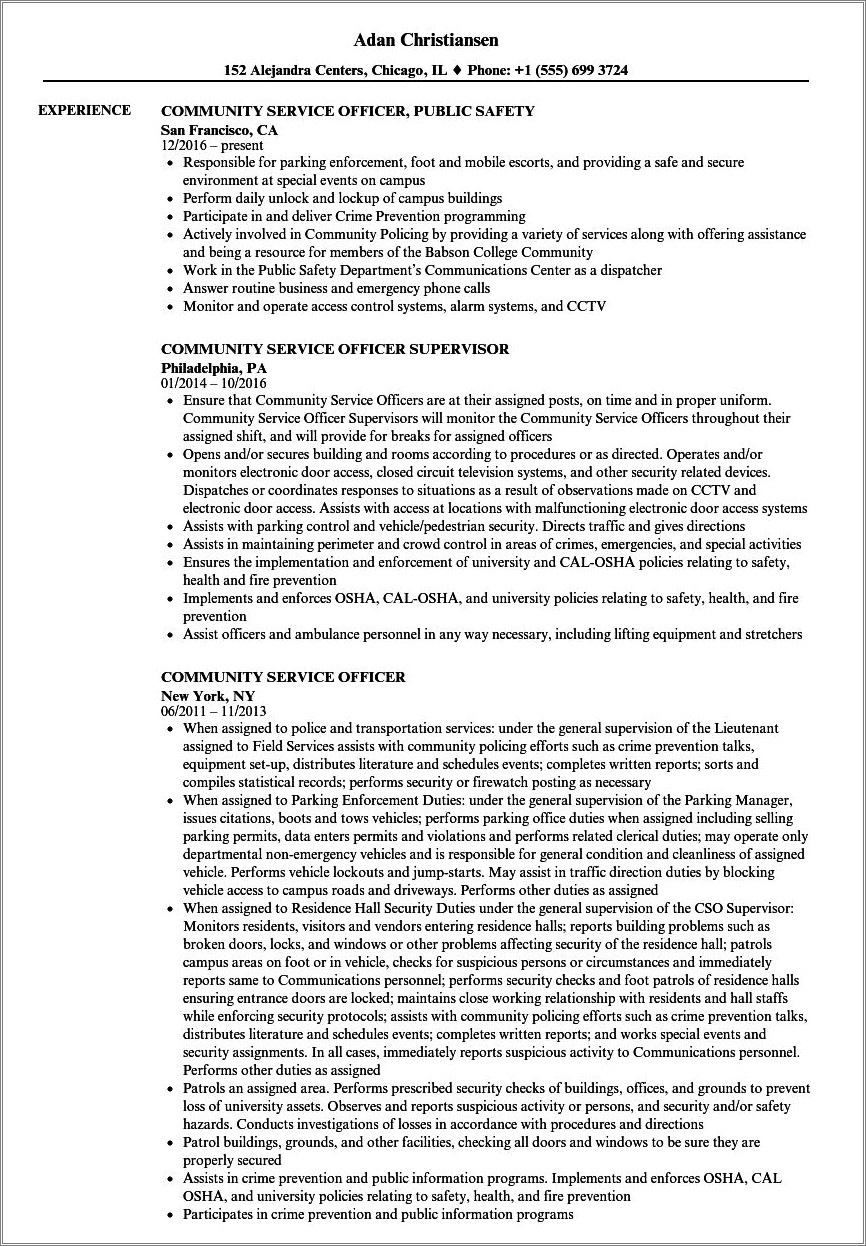 Police Officer Resume Objective Statement Samples